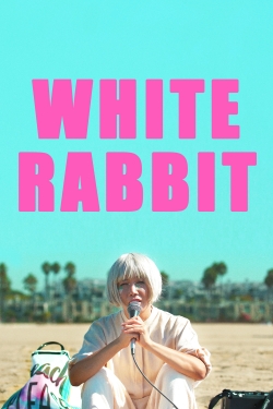 White Rabbit-stream