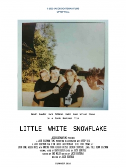 Little White Snowflake-stream