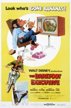 The Barefoot Executive-stream