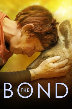 The Bond-stream