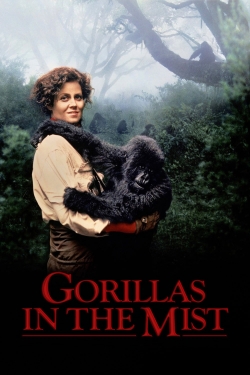 Gorillas in the Mist-stream