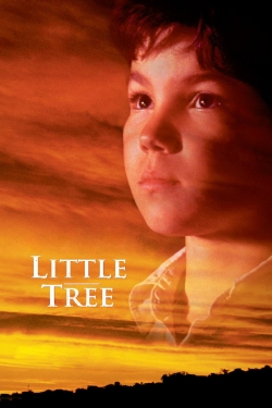 The Education of Little Tree-stream