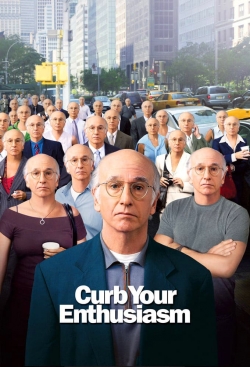 Larry David: Curb Your Enthusiasm-stream