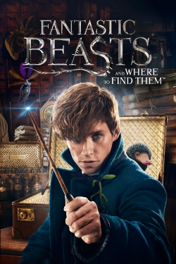 Fantastic Beasts and Where to Find Them-stream