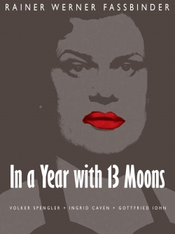 In a Year with 13 Moons-stream