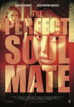 The Perfect Soulmate-stream