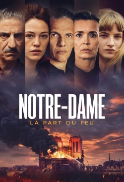 Notre-Dame-stream