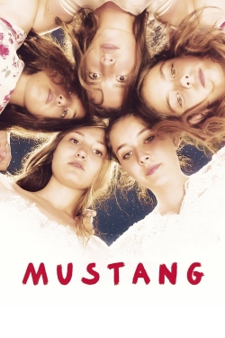 Mustang-stream