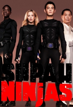 Supah Ninjas-stream